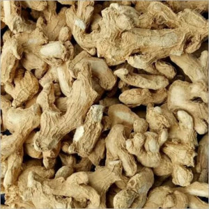 DRIED GINGER SUKKU